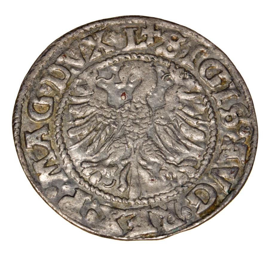 Półgrosz 1546 Zygmunt II August Litwa Wilno