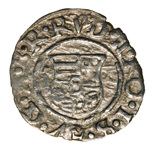 Denar 1595 Rudolf II Habsburg Węgry Kremnica