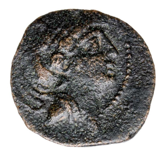 Brąz 121-96 p.n.e. Antioch VIII Grypos Grecja Seleucydzi