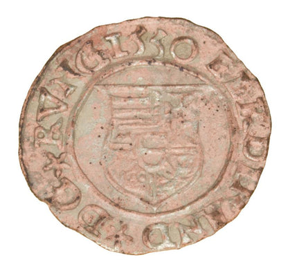 Denar 1555 Ferdynand I Habsburg Węgry