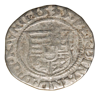 Denar 1535 Ferdynand I Habsburg Węgry Kremnica