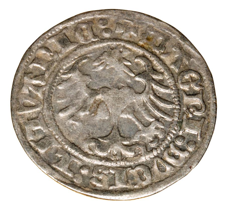 Półgrosz 1514 Zygmunt I Stary Litwa Wilno