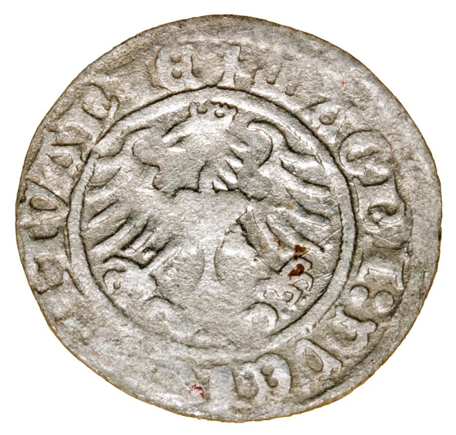 Półgrosz 1513 Zygmunt I Stary Litwa Wilno
