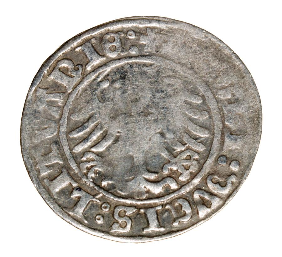 Półgrosz 1509 Zygmunt I Stary Litwa Wilno