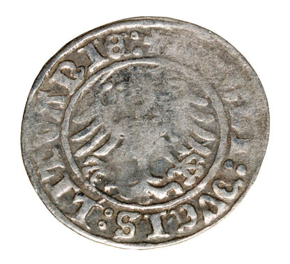 Półgrosz 1509 Zygmunt I Stary Litwa Wilno
