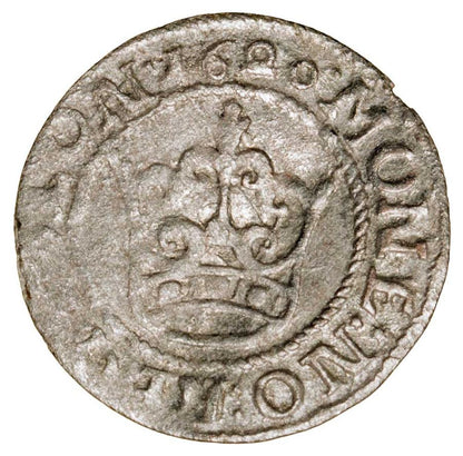 Półgrosz 1620 Zygmunt III Waza Polska Bydgoszcz