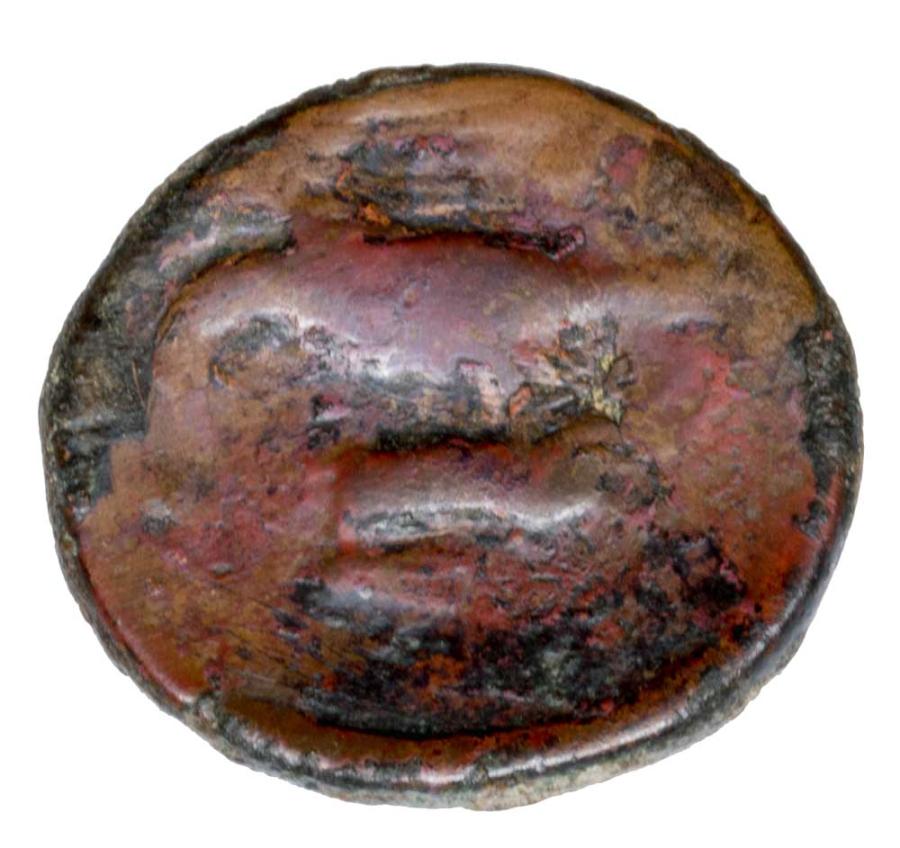 Brąz 275-240 p.n.e. Grecja Cylicja Akragas