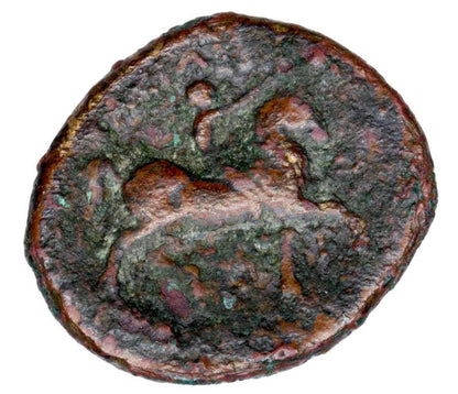 Brąz 305-298 p.n.e. Kassander Grecja Macedonia Herakles