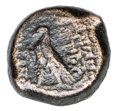Brąz 121-96 p.n.e. Antioch VIII Grypos Grecja Seleucydzi