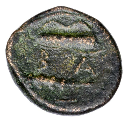 Brąz Aleksander III Grecja Aleksandria Herakles